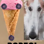 Ice cream cone borzoi meme. Borzoi makes me hungry for ice cream. Head is cone shaped.