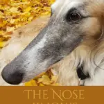 The nose knows borzoi meme